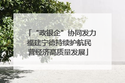 “政银企”协同发力 福建宁德持续护航民营经济高质量发展