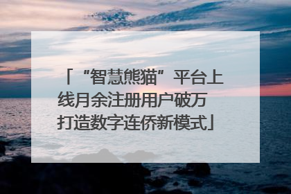 “智慧熊猫”平台上线月余注册用户破万 打造数字连侨新模式