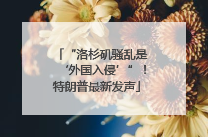 “洛杉矶骚乱是‘外国入侵’”！特朗普最新发声