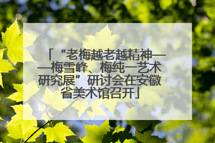 “老梅越老越精神——梅雪峰、梅纯一艺术研究展”研讨会在安徽省美术馆召开