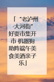 “老泸州·大河街”好耍市集开市 机器狗助阵端午美食美酒亲子乐