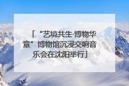 “艺境共生·博物华章”博物馆沉浸交响音乐会在沈阳举行