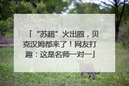 “苏超”火出圈，贝克汉姆都来了！网友打趣：这是名师一对一