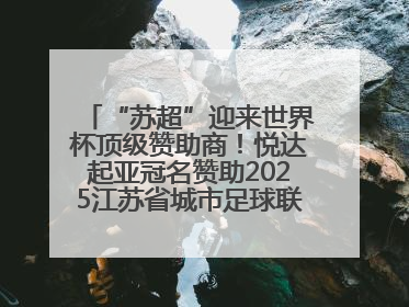 “苏超”迎来世界杯顶级赞助商！悦达起亚冠名赞助2025江苏省城市足球联赛盐城赛区