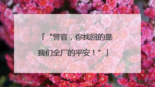 “警官，你找回的是我们全厂的平安！”