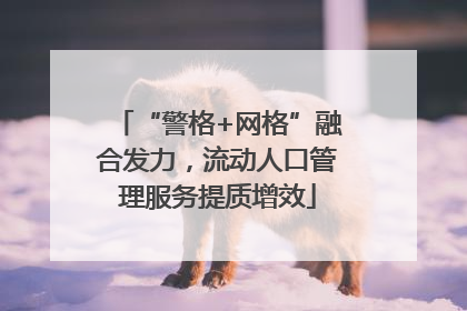 “警格+网格”融合发力，流动人口管理服务提质增效
