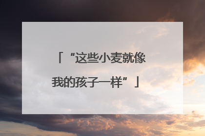 “这些小麦就像我的孩子一样”