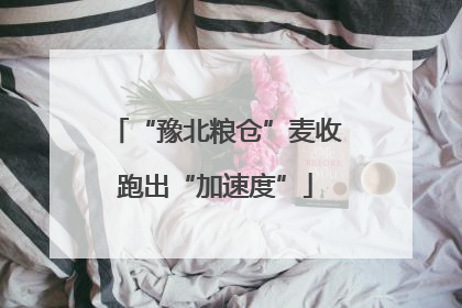 “豫北粮仓”麦收跑出“加速度”