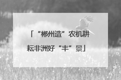 “郴州造”农机耕耘非洲好“丰”景