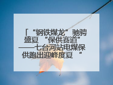 “钢铁煤龙”驰骋盛夏 “保供赛道”——七台河站电煤保供跑出迎峰度夏 “加速度”
