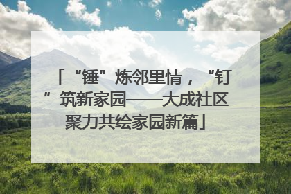 “锤”炼邻里情，“钉”筑新家园——大成社区聚力共绘家园新篇