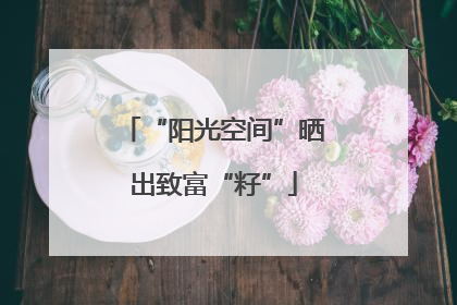“阳光空间”晒出致富“籽”