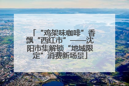 “鸡架味咖啡”香飘“西红市”——沈阳市集解锁“地域限定”消费新场景