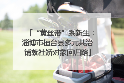“黄丝带”系新生：淄博市桓台县多元共治铺就社矫对象回归路