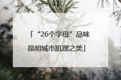 “26个字母”品味昆明城市肌理之美