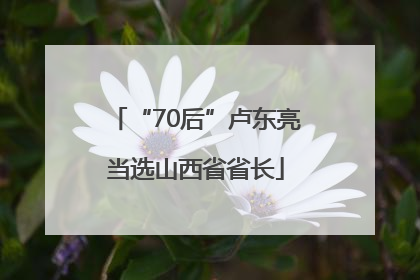 “70后”卢东亮当选山西省省长