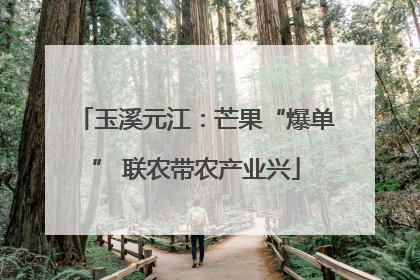 玉溪元江：芒果“爆单” 联农带农产业兴