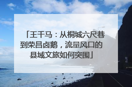 王千马：从桐城六尺巷到荣昌卤鹅，流量风口的县域文旅如何突围