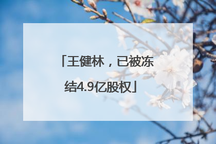 王健林，已被冻结4.9亿股权