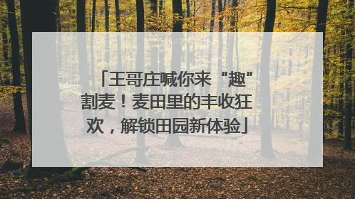 王哥庄喊你来“趣”割麦！麦田里的丰收狂欢，解锁田园新体验