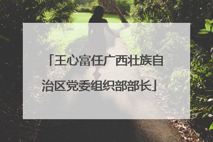 王心富任广西壮族自治区党委组织部部长