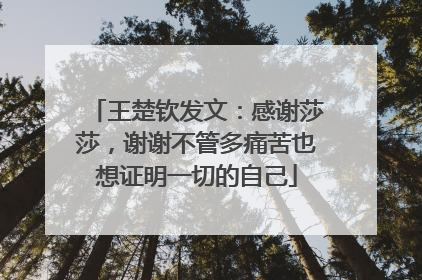 王楚钦发文：感谢莎莎，谢谢不管多痛苦也想证明一切的自己