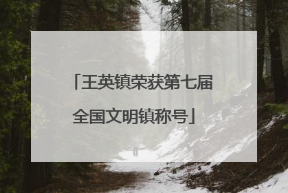 王英镇荣获第七届全国文明镇称号
