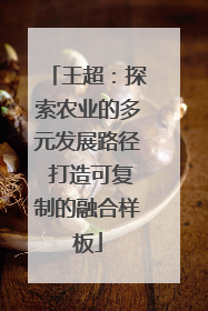 王超：探索农业的多元发展路径 打造可复制的融合样板