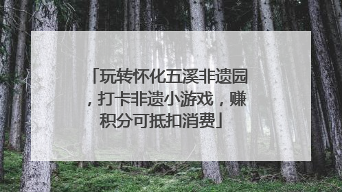 玩转怀化五溪非遗园，打卡非遗小游戏，赚积分可抵扣消费