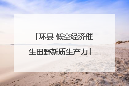 环县 低空经济催生田野新质生产力