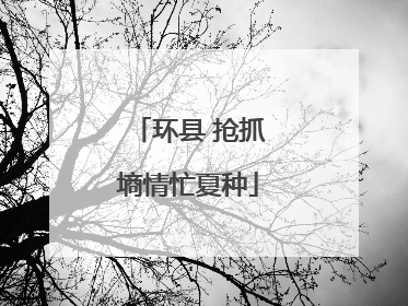 环县 抢抓墒情忙夏种