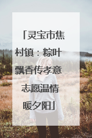 灵宝市焦村镇：粽叶飘香传孝意 志愿温情暖夕阳