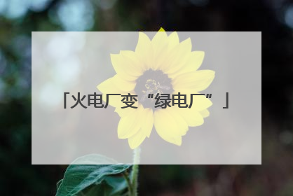 火电厂变“绿电厂”