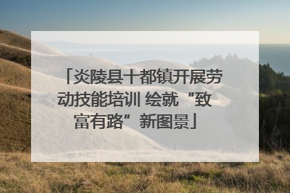 炎陵县十都镇开展劳动技能培训 绘就“致富有路”新图景