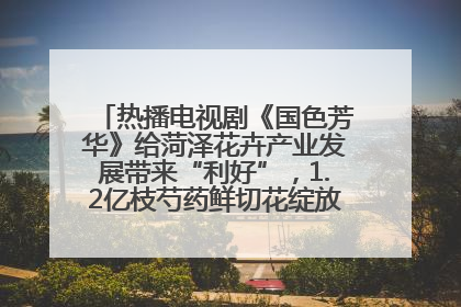 热播电视剧《国色芳华》给菏泽花卉产业发展带来“利好”，1.2亿枝芍药鲜切花绽放“国色芳华”