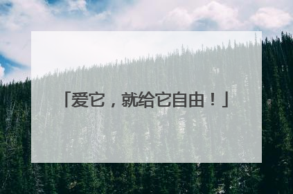 爱它，就给它自由！