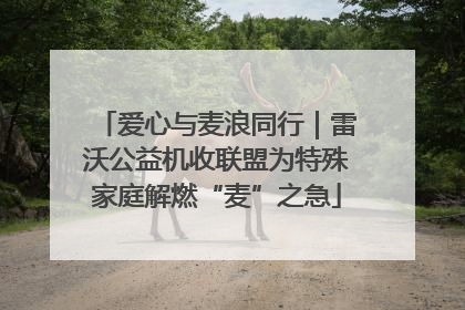 爱心与麦浪同行｜雷沃公益机收联盟为特殊家庭解燃“麦”之急