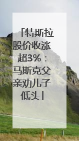 特斯拉股价收涨超3%：马斯克父亲劝儿子低头
