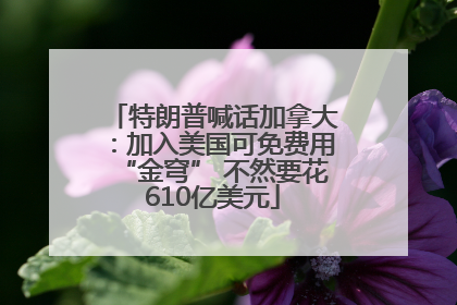 特朗普喊话加拿大：加入美国可免费用“金穹” 不然要花610亿美元