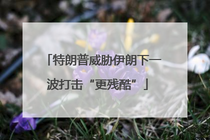 特朗普威胁伊朗下一波打击“更残酷”