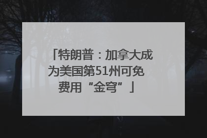 特朗普：加拿大成为美国第51州可免费用“金穹”