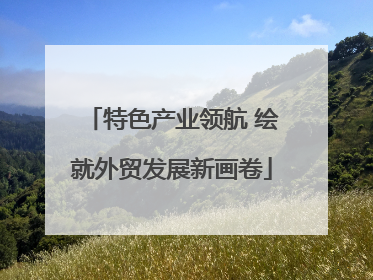 特色产业领航 绘就外贸发展新画卷