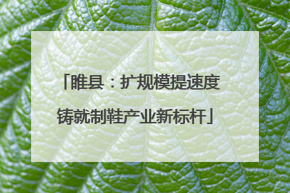 睢县：扩规模提速度 铸就制鞋产业新标杆