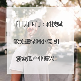 甘肃玉门：科技赋能戈壁绿洲小院 引领蜜瓜产业振兴