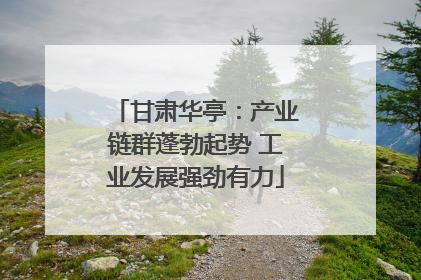 甘肃华亭：产业链群蓬勃起势 工业发展强劲有力