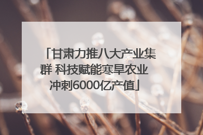 甘肃力推八大产业集群 科技赋能寒旱农业冲刺6000亿产值