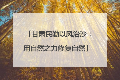 甘肃民勤以风治沙：用自然之力修复自然