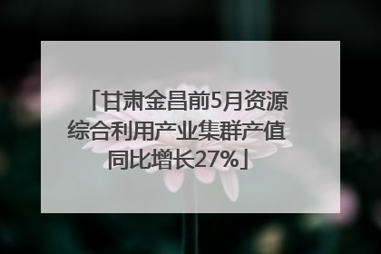 甘肃金昌前5月资源综合利用产业集群产值同比增长27%