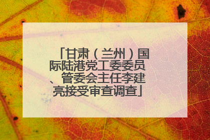 甘肃（兰州）国际陆港党工委委员、管委会主任李建亮接受审查调查