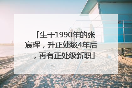 生于1990年的张宸珲，升正处级4年后，再有正处级新职